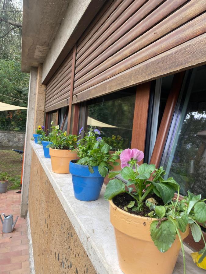 Apartament Il Giardinetto Di Elelu' Private Garage Orvieto Zewnętrze zdjęcie