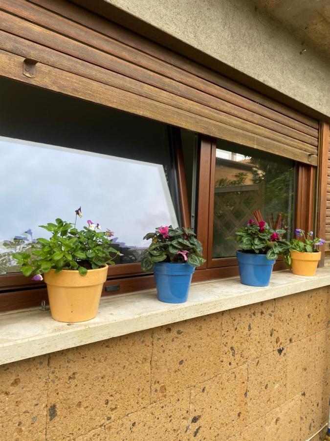 Apartament Il Giardinetto Di Elelu' Private Garage Orvieto Zewnętrze zdjęcie